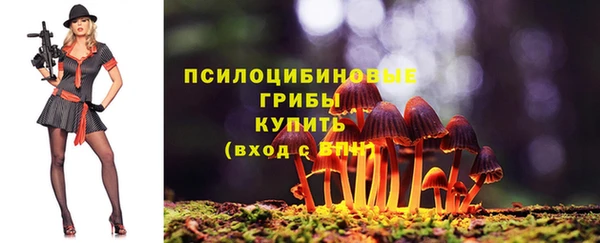 ALPHA-PVP Алексин