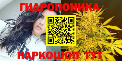 МДПВ Донецк