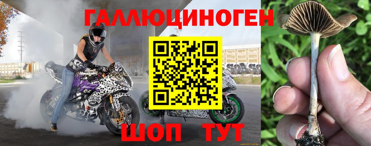 Галлюциногенные грибы мицелий Лысьва