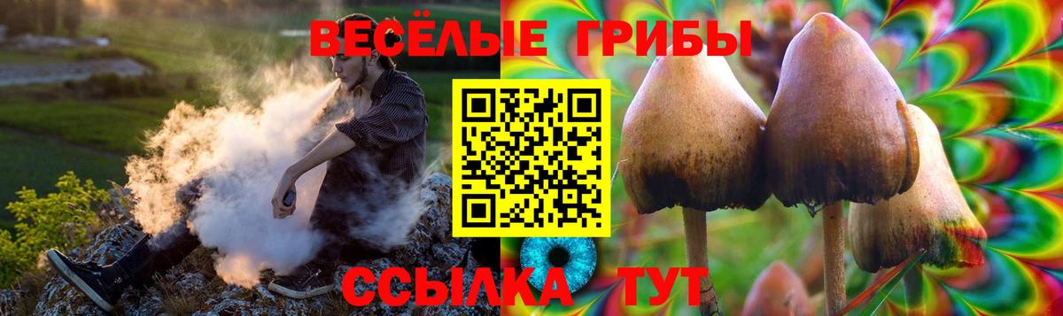 Лысьва  Псилоцибиновые грибы Magic Shrooms  Вход с VPN 